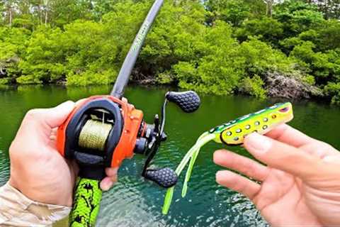 Catching GIANT Bass on FROGS in SMALL Pond!!!
