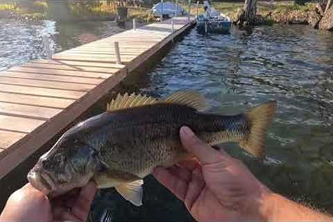 Bait finesse system on lake 🔥 29 fish outing 🔥 11/10/2022