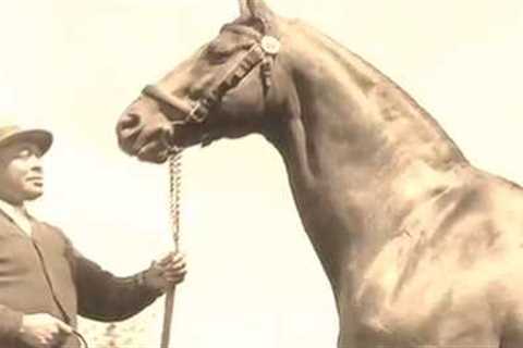 Tribute to Man O' War Race Horse by Team Velvet, Inc.