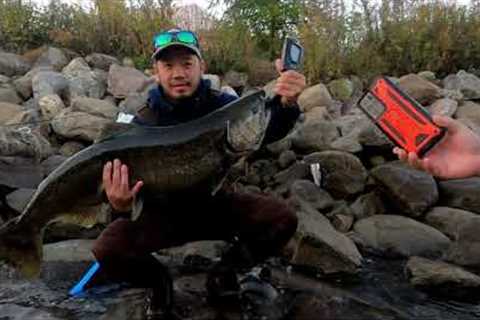 Lake Michigan Tributary Salmon Fishing