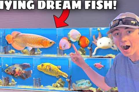 Buying My DREAM FISH for BACKYARD POND!