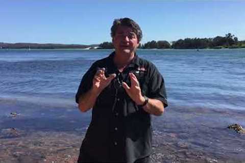 Swansea Fishing Report 10/11/2022