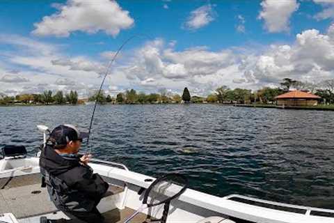 How Good Is This Trout Fishery! Fly Fishing on Lake Wendouree, Ballarat