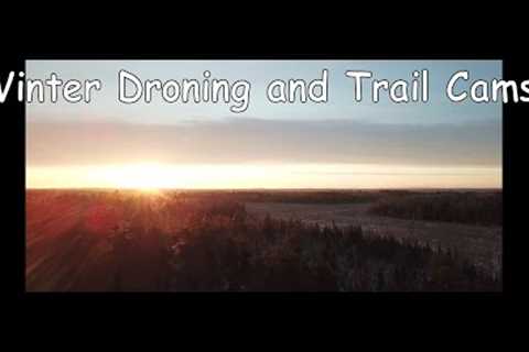 My Bigfoot Story Ep  135   Bigfoot Trail Cams Best of Vol 7