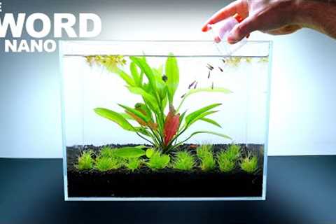 THE SWORD NANO TANK w/ Ruby Tetra Fish &amp; Aquatic Compost (No Filter, Aquascape Tutorial)
