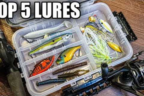 My Top 5 Fall Bass Fishing Lures (Bass Fishing for Beginners)