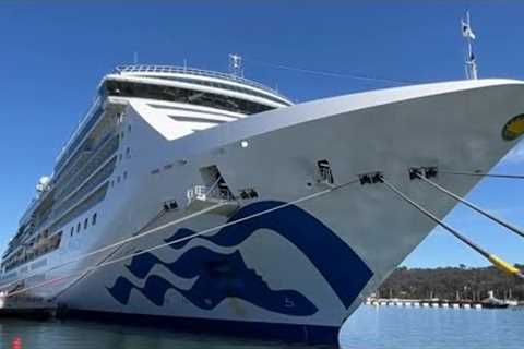 Majestic Princess cruise reports 800 COVID cases