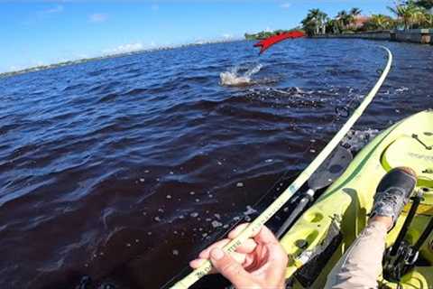 Found A Couple Big Fish By This Florida Sea Wall - All Day Kayak Fishing