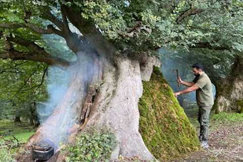 Building Bushcraft survival Camp In The Trunk &amp; Living With Forest Animals