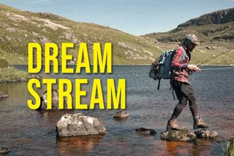 DREAM STREAM: FULL FILM | EPIC wild brown trout fly fishing Scotland | North West Highlands