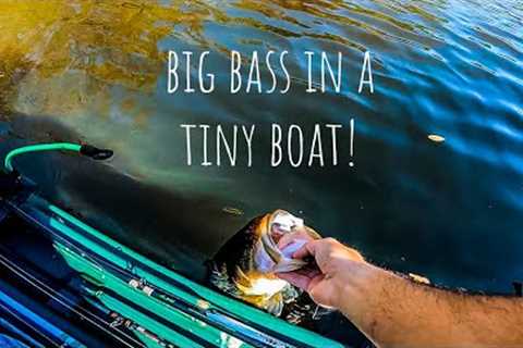 Catching GIANT BASS While FISHING Out of a TINY BASS BOAT!!! || Fall Bass Fishing