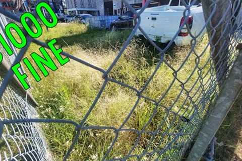 The GOVERNMENT Says MOW Your OVERGROWN Lawn OR Get FINED $1000!