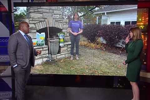 Fall yard care tips to ensure lush lawns next spring
