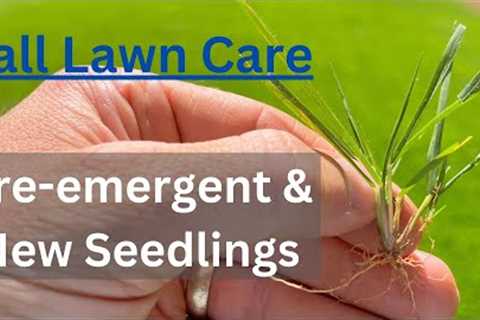 Fall Lawn Care Step 1 // Warm Season Grass Winter Lawn Prep // Pre Emergent on New Seed