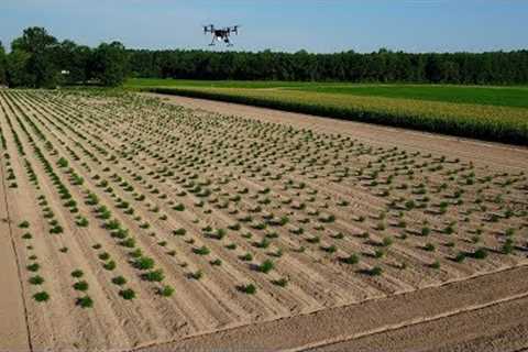 How Drones are Elevating Intelligence in Agriculture