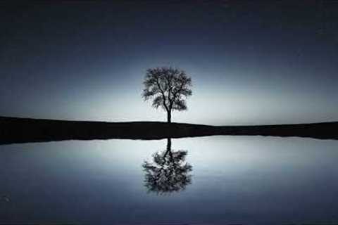 Feel Sleepy | Improve your quality of sleep | Reduce Stress