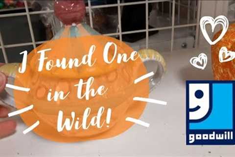 I Found One in the Wild! - Shop Along With Me - Goodwill Thrift Store