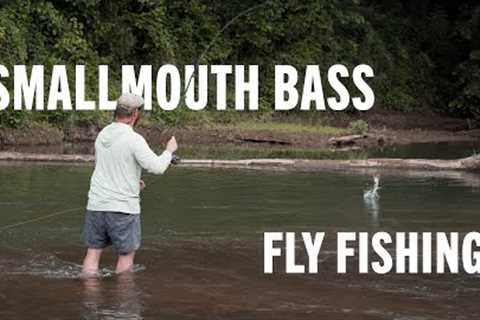 CREEK Fly Fishing for Smallmouth Bass | Top 5 TIPS