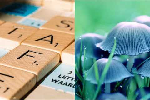 42 Intriguing Hobbies You Should Try Part 4: Hobbies that are one-of-a-kind
