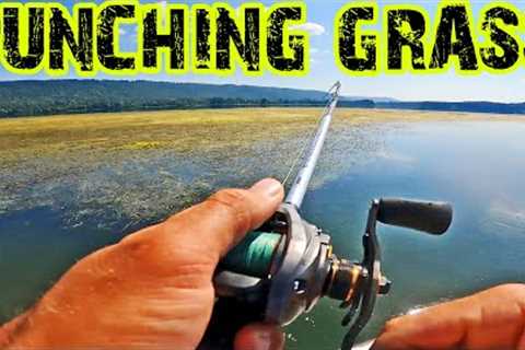 PUNCHING MATS OF GRASS On Lake Guntersville For BIG BASS!