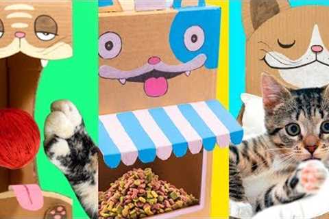 5 DIY Cat Projects from Cardboard | Cute &amp; Easy Ideas for Pets