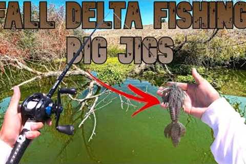 Fall Delta Bass Fishing | Flipping Big Jigs In Thick Cover | Fall Fishing Tips