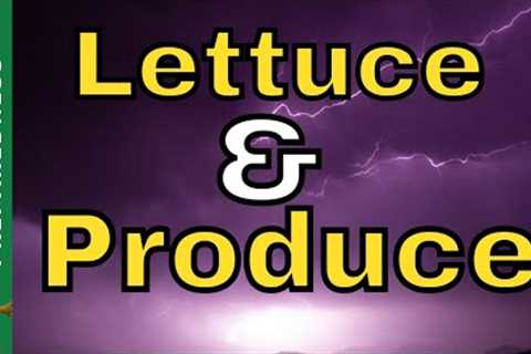 You Have To Hear What Industry INSIDERS Are Reporting | Food Shortages &amp; Empty Shelves