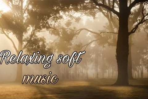 Meditation/Relaxation/Sleeping Soft music with beautiful nature clips #youtube #clipscup #viral