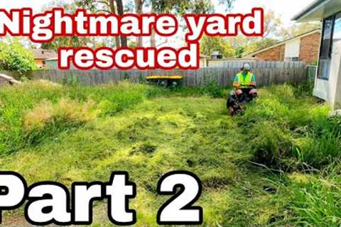 Part 2 MASSIVELY OVERGROWN YARD TRANSFORMED!
