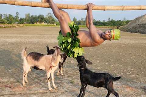 Must Watch New Funny Comedy videos 🤣 amazing funny Best clips video 2022 Episode 41 By Maha Fun Tv