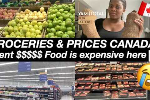 Grocery Haul with Prices in Canada|Cost of living in Canada|Canada Grocery Shopping|Life in Canada