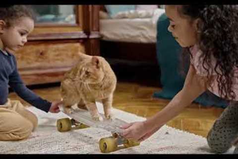 Best Funny Cat Videos On the world I Top  Funny Cats Videos 2023