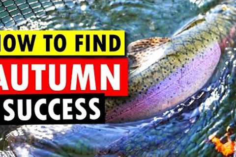 3 Autumn Trout Fishing Methods You Should Be Using Now!