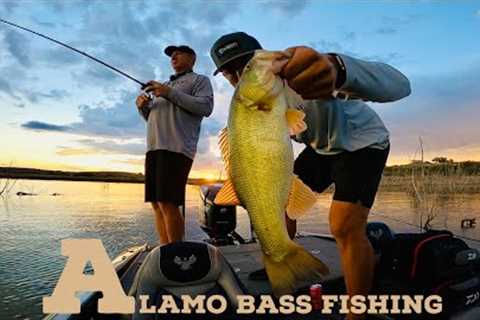 Alamo Lake Bass Fishing | Rain 🌧️