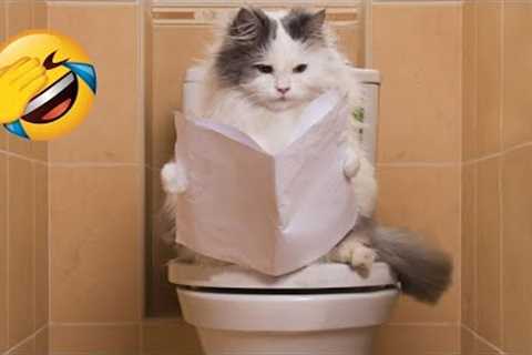 Funny Animal Videos 2022 😂 - Best Dogs And Cats Videos 😺😍 #27