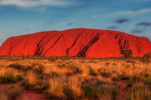 You must try Australian food and drink when you visit Australia