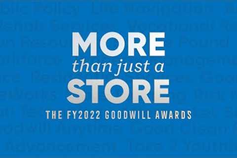 More than just a Store 2022 Goodwill Awards
