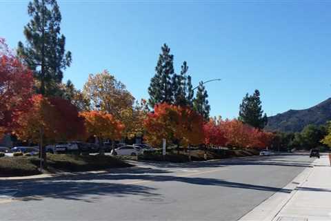 Get more fall colors from your local area