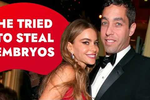Inside Sofia Vergara And Nick Loeb's Grueling Court Battle | Rumour Juice