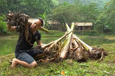 Duong planted a lot of bananas under the fish pond. Primitive Skills (ep191)
