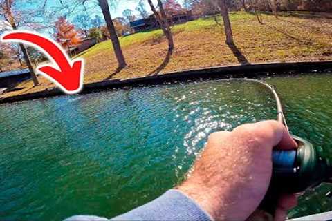 This is Fall Bass Fishing in a Nutshell...