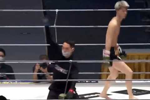 Best MMA Knockouts, October 2022 fights Part 2, HD
