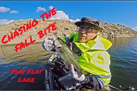 Kayak Bass Fishing Pine Flat Lake in Feelfree Dorado125