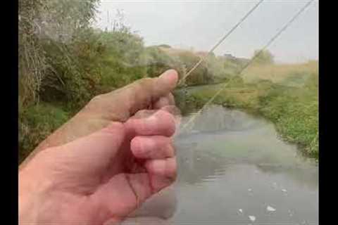 Every Fly Fisherman's WORST NIGHTMARE