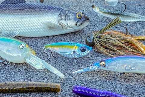 How To Catch Bass During The Fall To Winter Transition (Cold Water Baits)