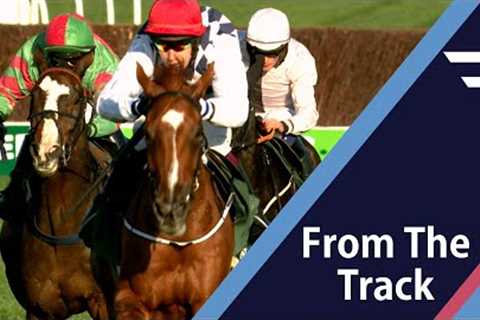 Impressive! BANBRIDGE oozes class in Arkle Trial at Cheltenham - Racing TV