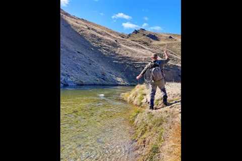 Fly Fishing 9lb Trout on dry fly