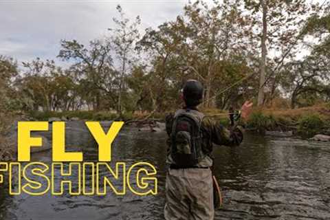 Beginner Fly Fishing Techniques - Teaching My Buddy To Fly Fish | Catching Big Fish