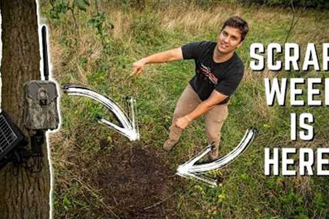 SCRAPE WEEK IS HERE!!! Best Trail Cam Settings For Scrapes!