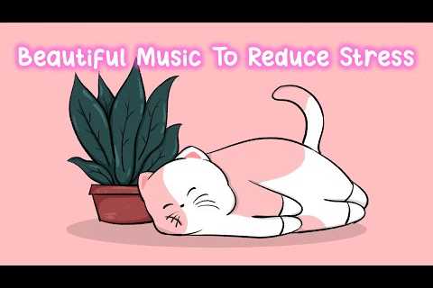 Cat Lofi 💖- Beautiful Music To Reduce Stress - Music to Relax, Drive, Study, Chill